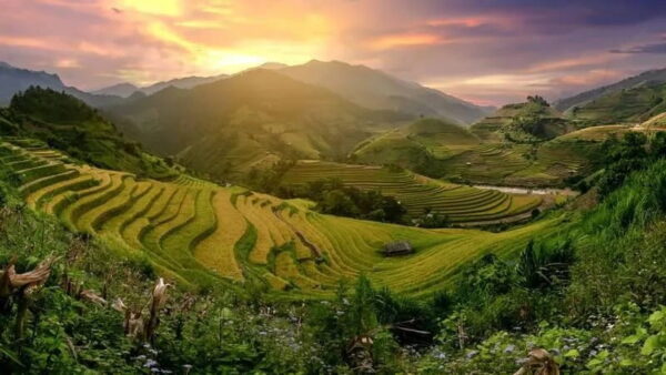 Hình ảnh tỉnh Yên Bái Hình ảnh tỉnh Yên Bái